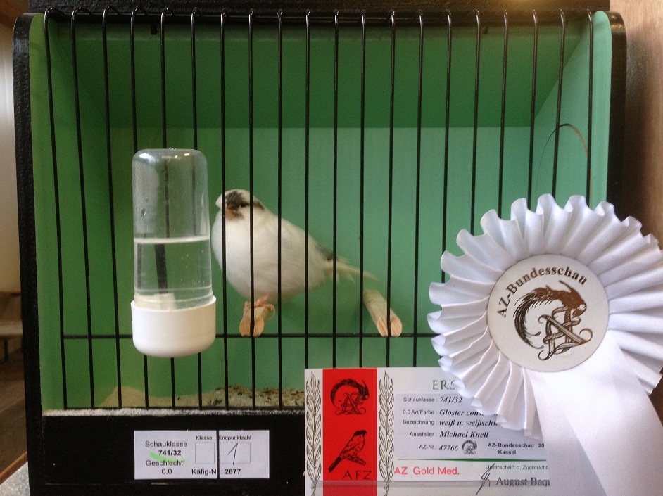 AZ-Bundeschau
Deutschland 2013