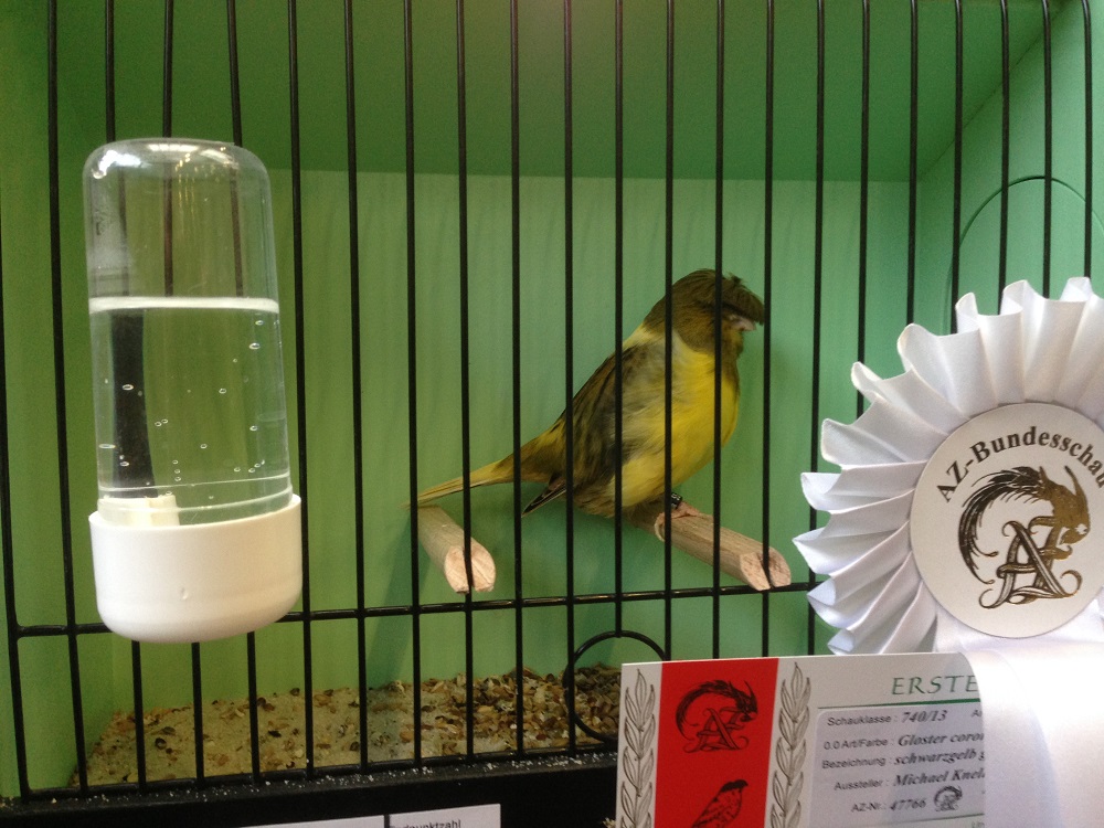 AZ-Bundeschau
Deutschland 2013