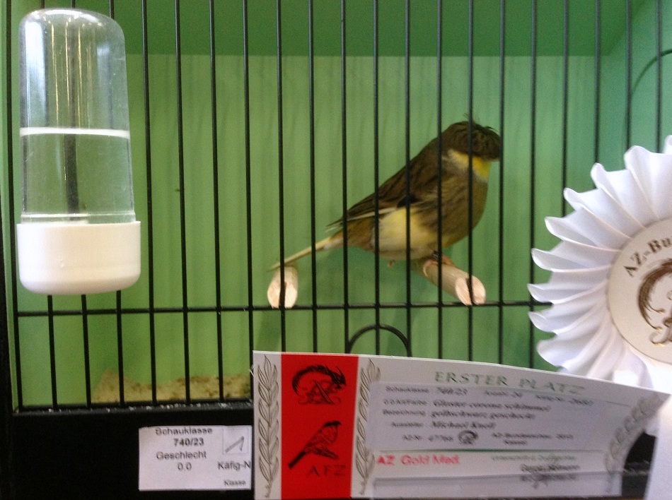 AZ-Bundeschau
Deutschland 2013